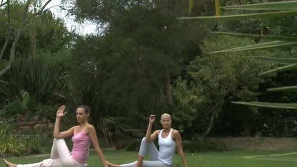 Vrouwen die yoga beoefenen — Stockvideo
