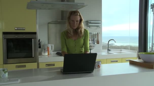 Woman using laptop — Stock Video