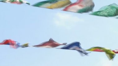 Bayraklar görünümünü