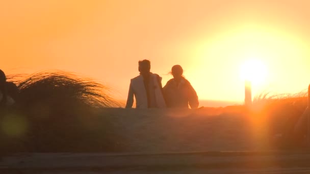 Casal andando ao longo de um caminho — Vídeo de Stock