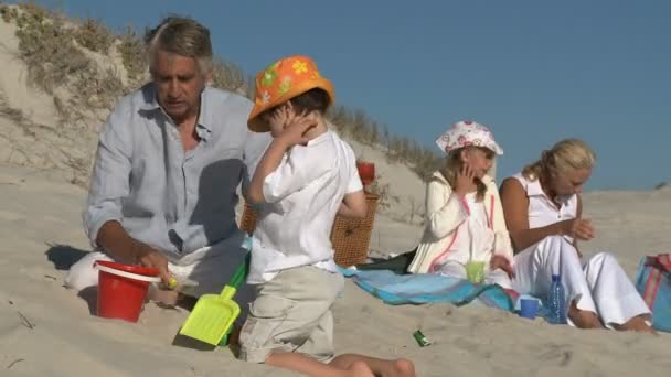 Grands-parents avec petits-enfants — Video