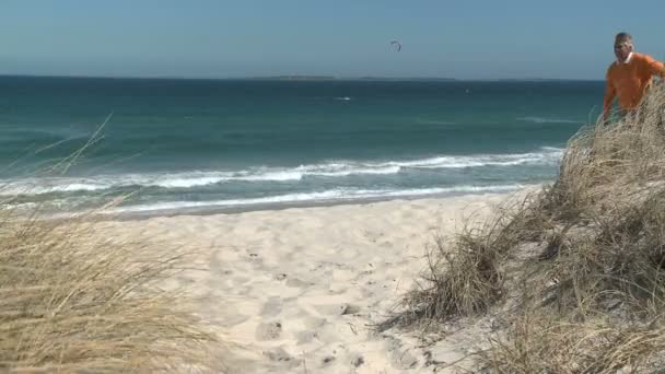 Coppia passeggiando lungo una spiaggia — Video Stock