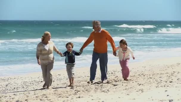 Grootouders en hun kleinkinderen — Stockvideo