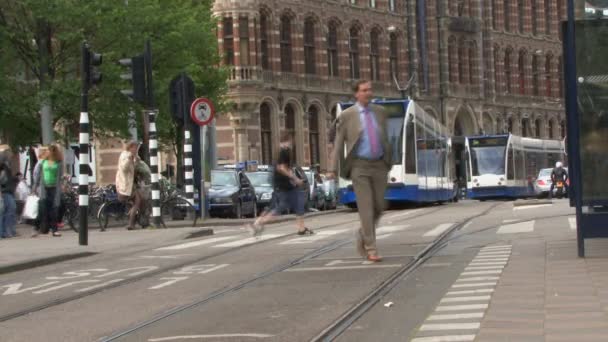 Trams rijden op straat — Stockvideo