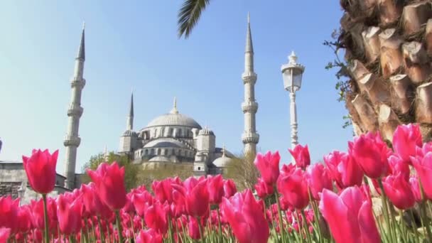 Blaue Moschee in der Türkei — Stockvideo