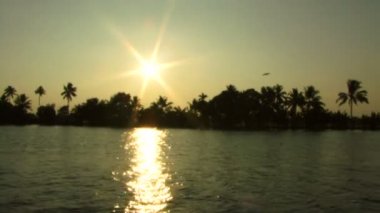 palmiye ağaçları ile günbatımı