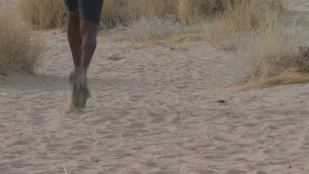 Corriendo por el desierto — Vídeos de Stock