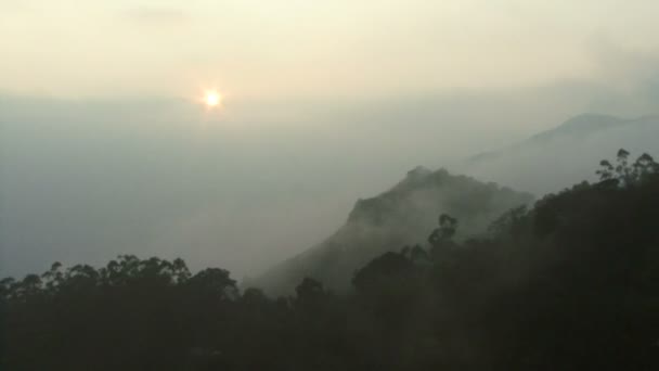 Nebbia mattutina nella foresta pluviale tropicale — Video Stock