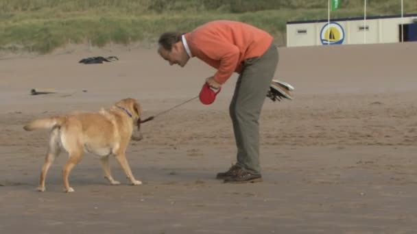 Masculino brincando com cão — Vídeo de Stock