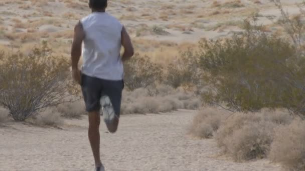 Correre nel deserto — Video Stock