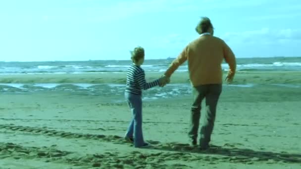 Father and son on the beach — Stock Video