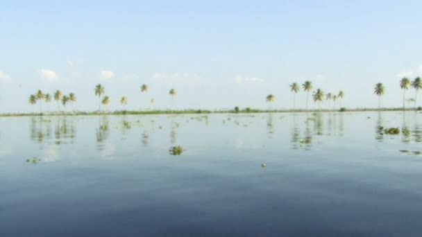 Palm bomen reflectie op blauw water — Stockvideo