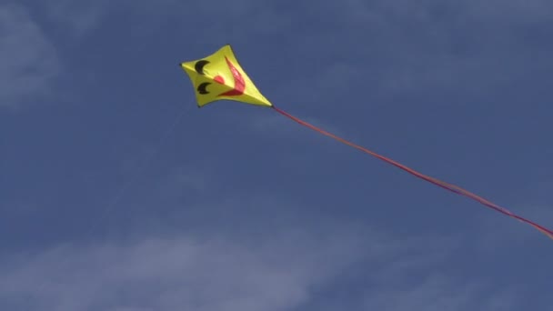 Kite flying in the sky — Stock Video