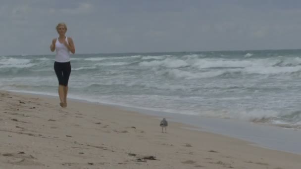 Θηλυκό τζόκινγκ στην παραλία — Αρχείο Βίντεο