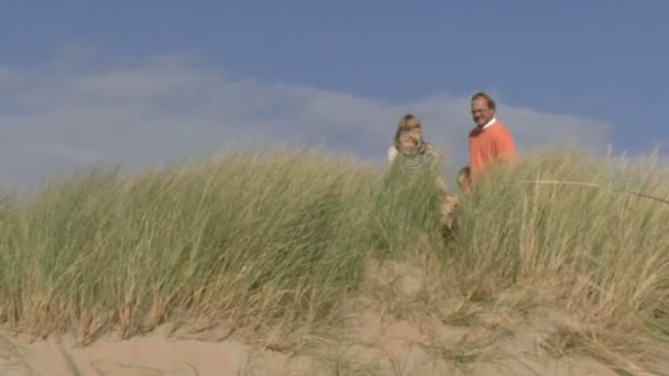 Familjen gå hand i hand — Stockvideo