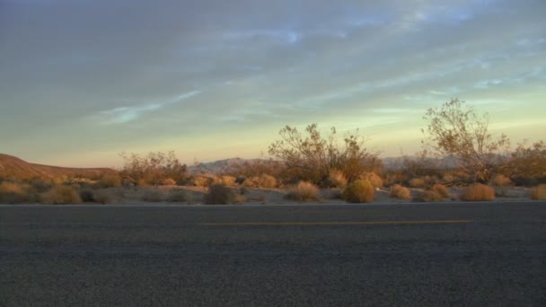 Male running along road — Stock Video