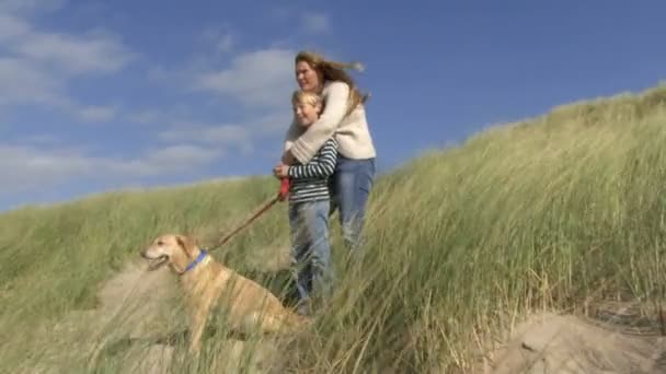 Mother and son in dunes — Stock Video