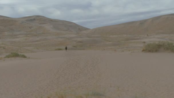 Correre nel deserto — Video Stock