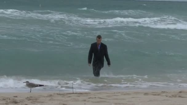 Male walking out of the ocean — Stock Footage Male walking out of the ocean Royalty Free Stock Footage