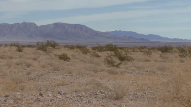 Atravessando o deserto — Vídeo de Stock