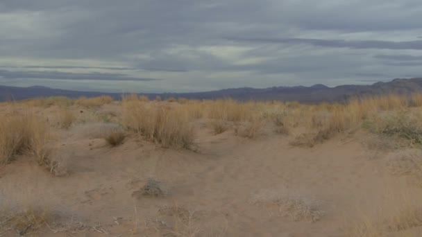 Прогулка по пустыне — стоковое видео