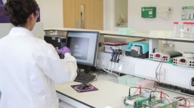 Jel Image analyzer test yapıyor bilim adamı