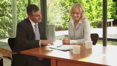 Dizüstü bilgisayar ile mali müşavir olan dişi