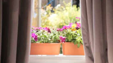 Kadın sulama tesisleri