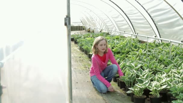 Child holding up plants — Stock Video