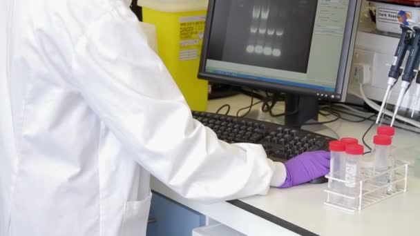 Female scientist in laboratory — Stock Video