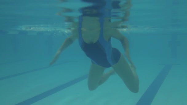 Natación femenina en la piscina — Vídeos de Stock