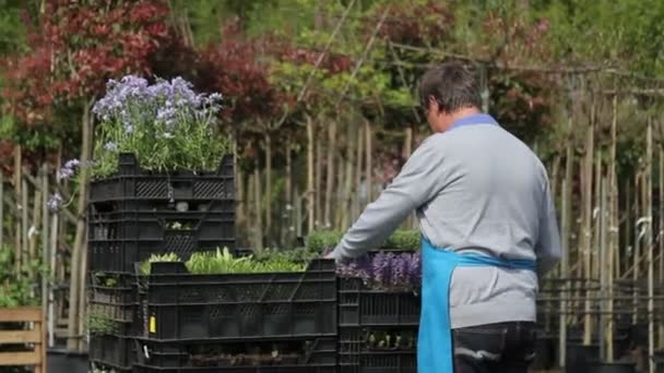 Garden center employee — Stock Video