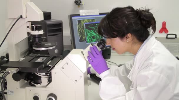 Scienziato che guarda attraverso il microscopio — Video Stock