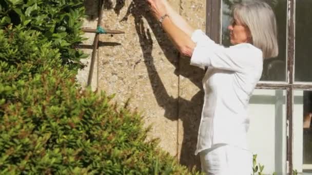 Mujer mirando uvas de vino — Vídeos de Stock