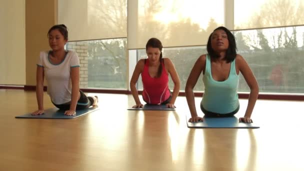 Estudiantes practicando yoga — Vídeos de Stock