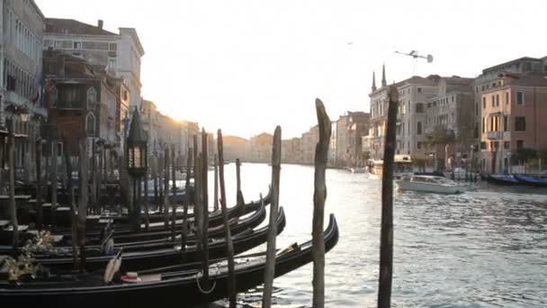 Gondoles sur grand canal — Video