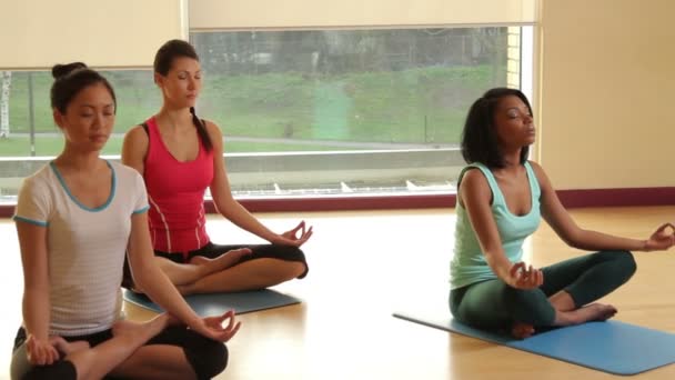 Estudiantes practicando yoga — Vídeo de stock