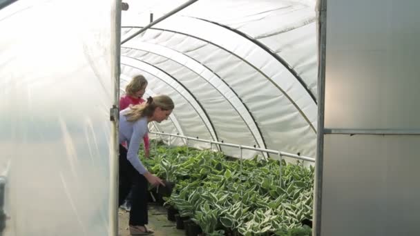 Mother and daughter in greenhouse — Stock Video