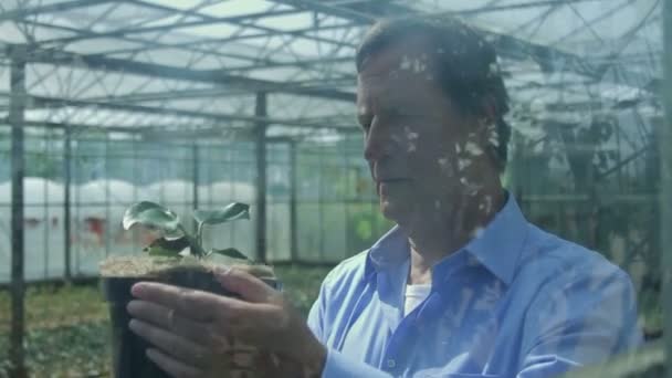 Вчений слідчим флори — стокове відео