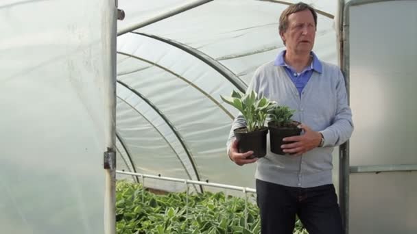 Male holding plants — Stock Video