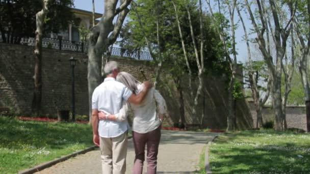 Pareja de ancianos caminando en el parque — Vídeos de Stock