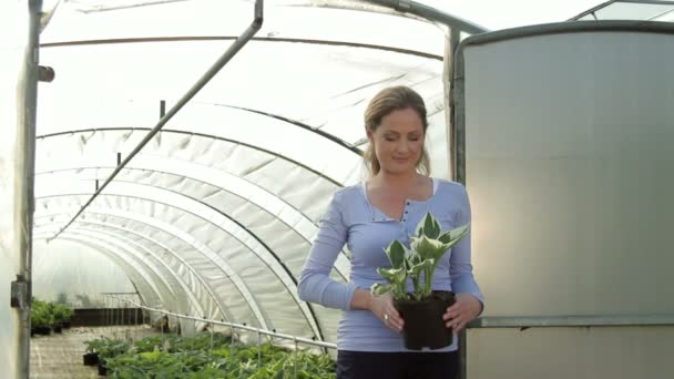 Female holding plant — Stock Video