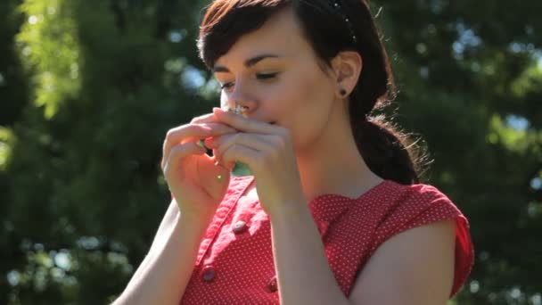 Γυναικεία Μαργαρίτα μυρίζοντας — Αρχείο Βίντεο