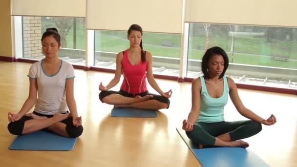 Estudiantes practicando yoga — Vídeo de stock
