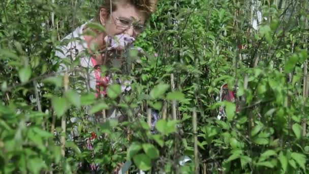 Зрелая женщина смотрит на растения — стоковое видео