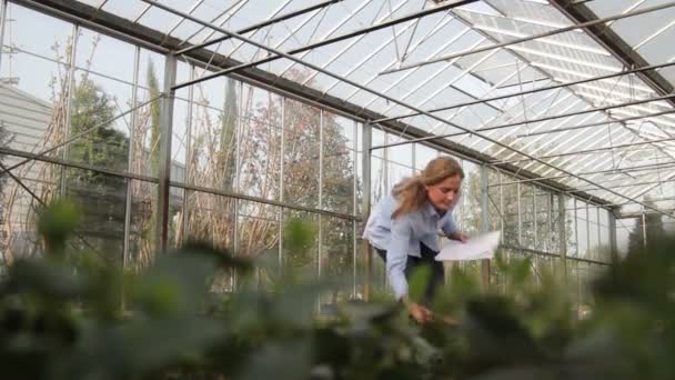 女科学家研究植物区系 — 图库视频影像