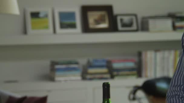 Couple toasting with wine glasses — Stock Video