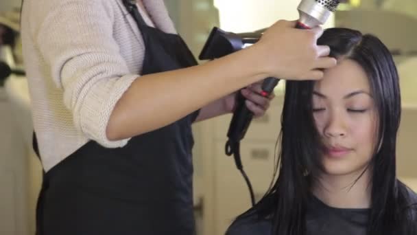 Friseur trocknet Haare — Stockvideo