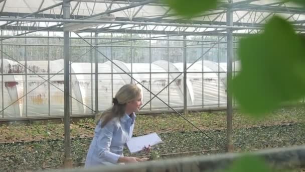 Wetenschapper bestuderen flora — Stockvideo