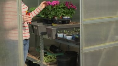 Seradaki genç kadın.